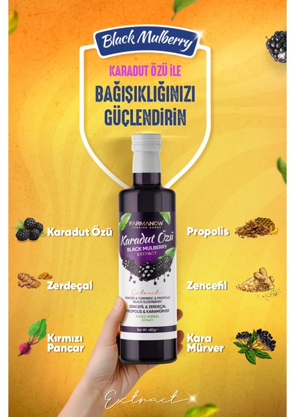 Karadut Özü 480 gr