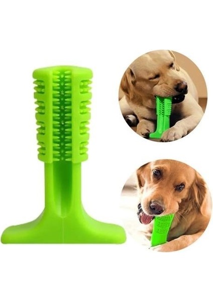 Buffer® Köpek Diş Temizleyici ve Kaşıyıcı Sağlıklı Küçük Boy Oyuncak