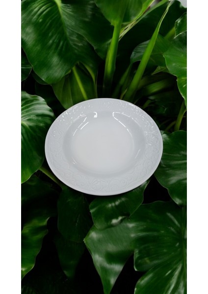 Evmutfak Güral Porselen 6 Adet Bahar Dalı 22 cm Çukur Tabak fiyatları