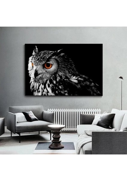 Owl Dekoratif Kanvas Tablo