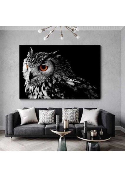 Owl Dekoratif Kanvas Tablo