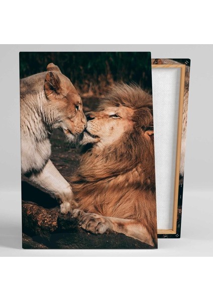 Ormanlar Kralı Aslan Ve Ailesi Doğa Love Hayvan Dikey Kanvas Tablo fiyatları