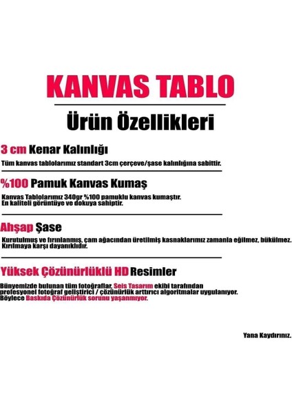 Modern Yağlı Boya Görünümlü Çiçek Kanvas Tablo modelleri