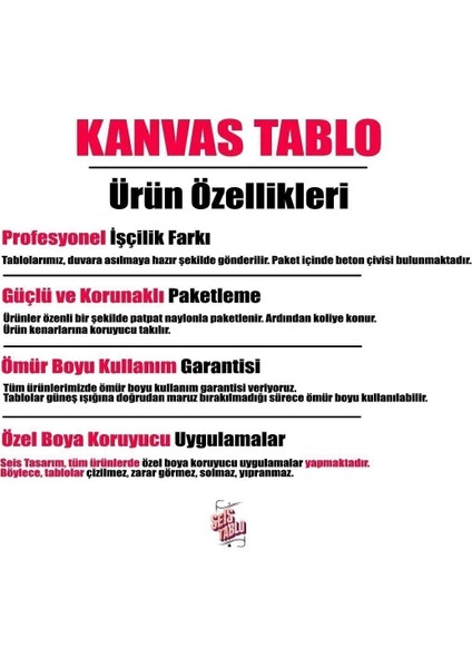Modern Yağlı Boya Görünümlü Çiçek Kanvas Tablo fırsatları