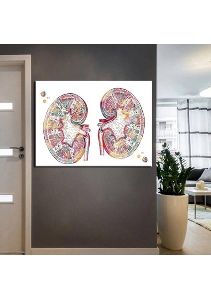 Poliklinik Klinik Hastane Dekorasyonu Medikal Hastane Tabloları Hst-16