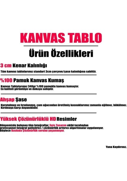 Sokak Çalgıcıları Müzisyen Yağmur Ve Dans Kanvas Tablo