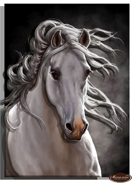 |Şık At Tablosu 30 |Çerçevesiz Kanvas Tablo fiyatları