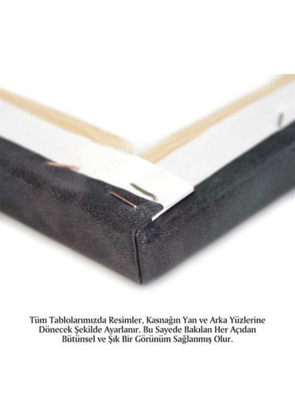 Dekoratif Lion King Kanvas Tablo modelleri