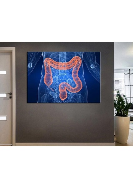 Poliklinik Klinik Hastane Dekorasyonu Medikal Hastane Tabloları Hst-60