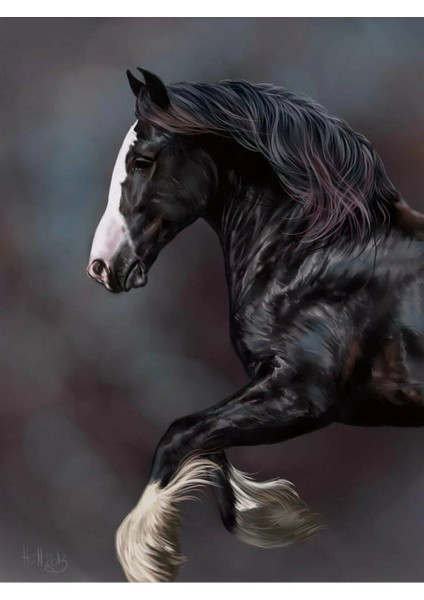 |Şık At Tablosu 52 |Çerçevesiz Kanvas Tablo fiyatları