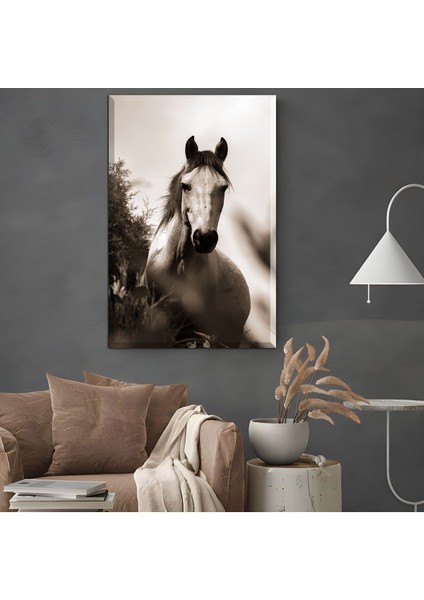 |Şık At Tablosu 35 |Çerçevesiz Kanvas Tablo