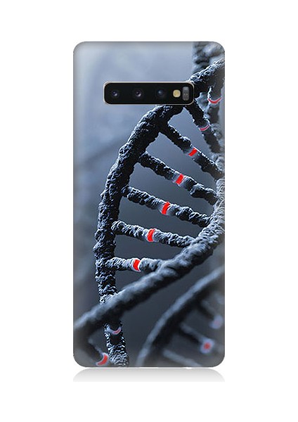 Samsung Galaxy S10 Uyumlu Dna Sarmalı Desenli Silikon Kılıf