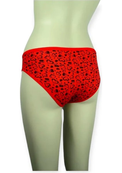 Iç Giyim Dünyası Iç Giyim Dünyası Bikini Külot Çok Renkli 3 Lü Takım fırsatları