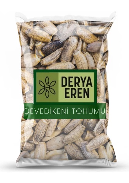 Derya Eren Deve Dikeni Tohumu (Silybum Marianum) 1 kg