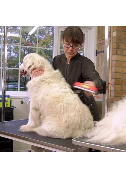 Uzun Tüylü Köpekler Için Kolay Tarama Fırçası Temizlenebilir Çelik Tarak