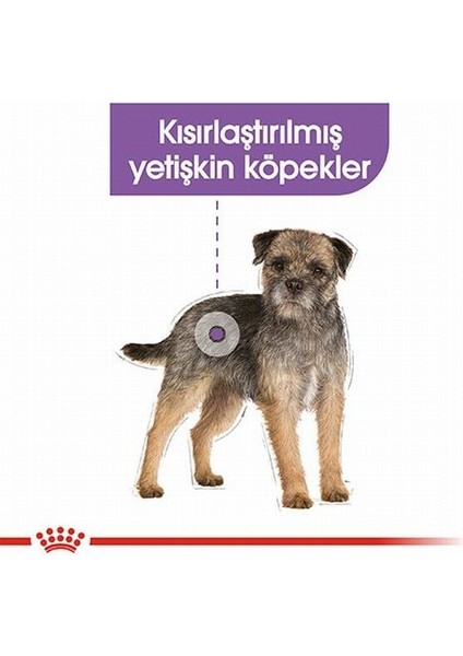 Royal Canin Ccn Mini Sterilised Küçük Irk Kısırlaştırılmış Köpek Maması 3 kg - Petshopundan fiyatları