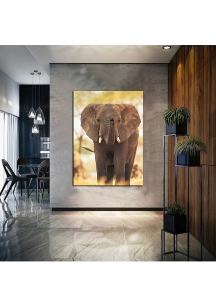 Yağlı Boya Efektli Soyut Fil Tablosu 15 Harika Bir Ev