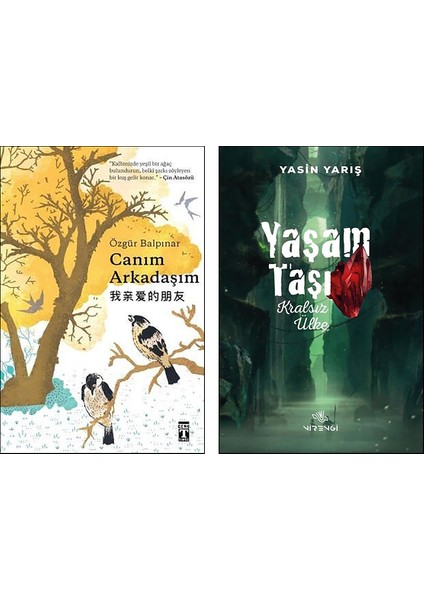 Canım Arkadaşım - Yaşam Taşı Kralsız Ülke 2 Kitap