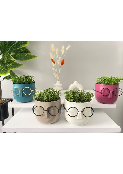 Tekno Trust Dekoratif 4 Adet Gözlüklü Profesör Çim Adam Yapay Çiçek Karışı Renk