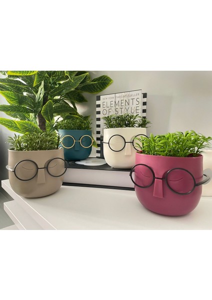 Tekno Trust Dekoratif 4 Adet Gözlüklü Profesör Çim Adam Yapay Çiçek Karışı Renk fiyatları