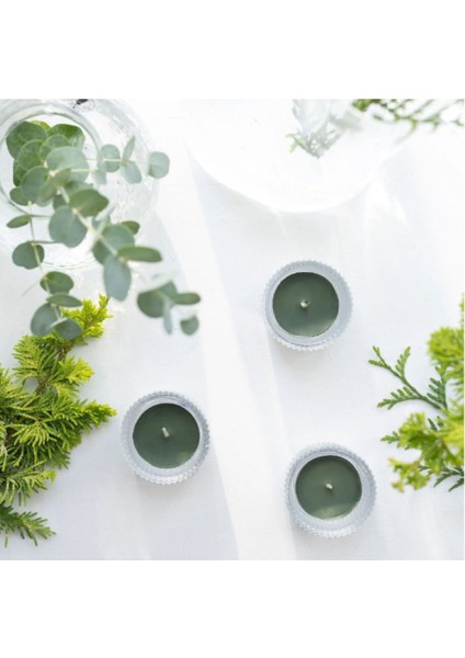 Jämtskogen Kokulu Tealight Mum, Koyu Yeşil, 3.5 Saat, 30 Adet, Çam ve Yosunun Kokusu