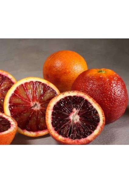6'lı Fidan Kan Portakal,w. Murcott,limon, Portakal,satsuma Mandalina,greyfurt 4 Yaşında 120-150 cm fiyatları
