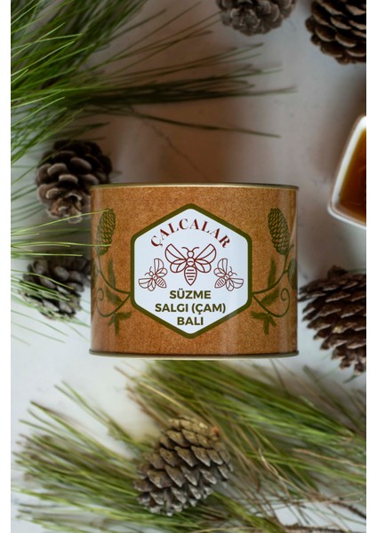 Bal Süzmebalçam Balısalgı Balı 2750GR fiyatları