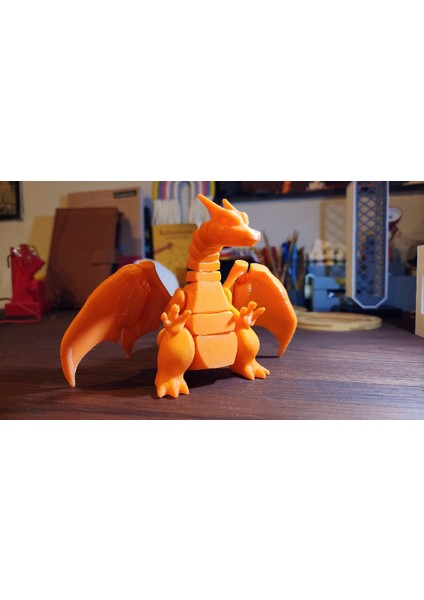 Yeni Estevia  Charizard - Fi Li Pokémon P821818 Company