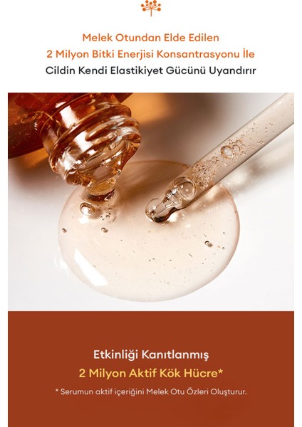 Cilde Sıkı Görünüm ve Elastikiyet Kazandıran Bakım Serumu Time Revolution Primestem100 Lifting Serum