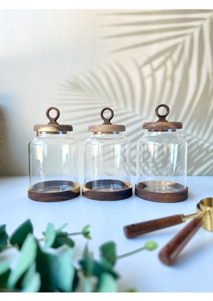 3'lü Kulplu Akasya Vakum Kapaklı ve Altlıklı Cam Kavanoz Seti