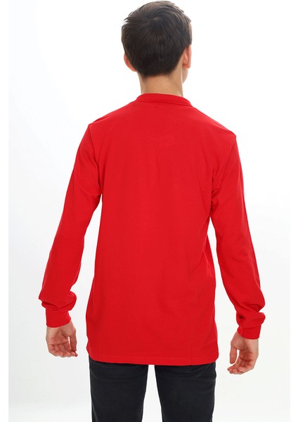 Erkek Çocuk Lacost(Yüksek Kaliteli Pike Dokuma) Noktalı Polo Yaka Sweatshirt | 10-14 Yaş fırsatları