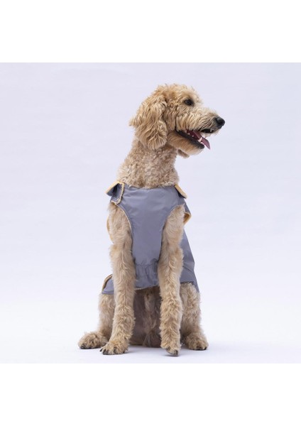 Gri Yukon Büyük Irk Köpek Yeleği