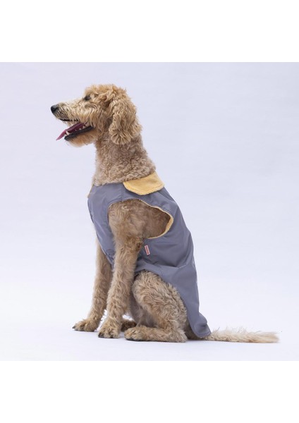 Gri Yukon Büyük Irk Köpek Yeleği