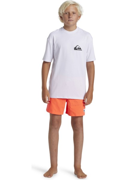 Quıksılver Everyday Surf Tee Ss Youth Erkek Çocuk T-Shirt AQBWR03067-QK.10