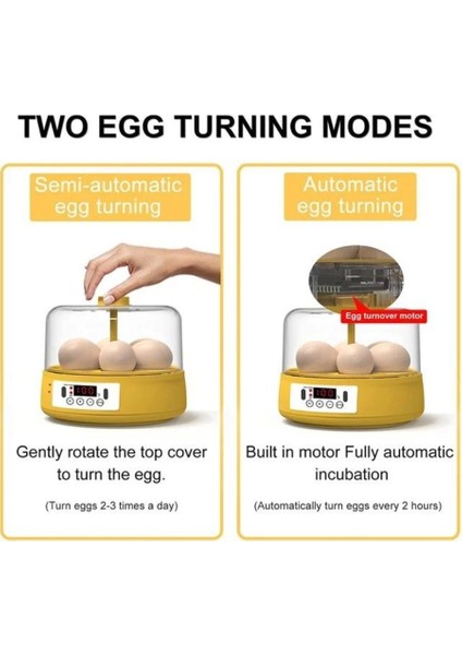 Mini Otomatik Ev Tipi Kuluçka: Elektrikli Tavuk ve Kuş Kuluçka Makinesi 6 Yumurtalı