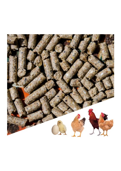2 KG Pelet Proteinli Özel Tavuk Kaz Ördek ve Kanatlı Hayvan Besi Yumurta Yemi 2 KG