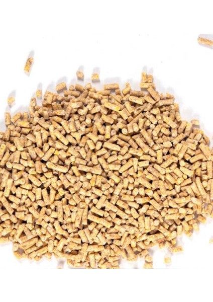 2 KG Pelet Proteinli Özel Tavuk Kaz Ördek ve Kanatlı Hayvan Besi Yumurta Yemi 2 KG fiyatları