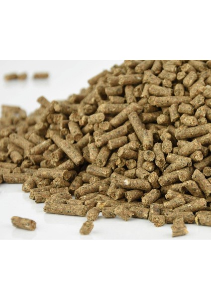 2 KG Pelet Proteinli Özel Tavuk Kaz Ördek ve Kanatlı Hayvan Besi Yumurta Yemi 2 KG fırsatları