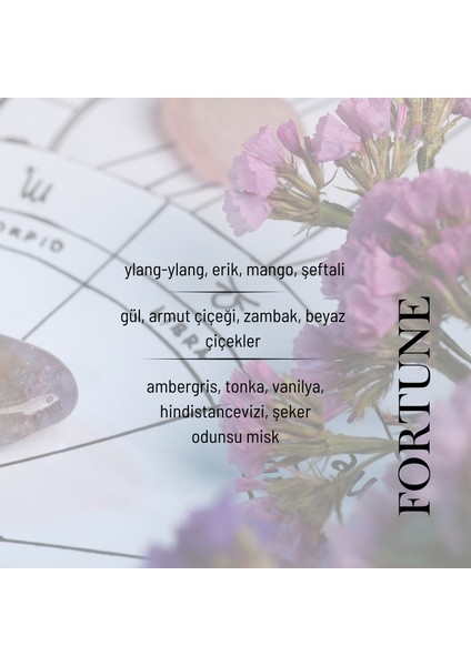 Fortune EDP Kadın Seyahat Boy Parfüm 10ml | Vanilya-Çiçeksi-Amber | Narenciye, Paçuli, Sedir, Sandal indirimleri