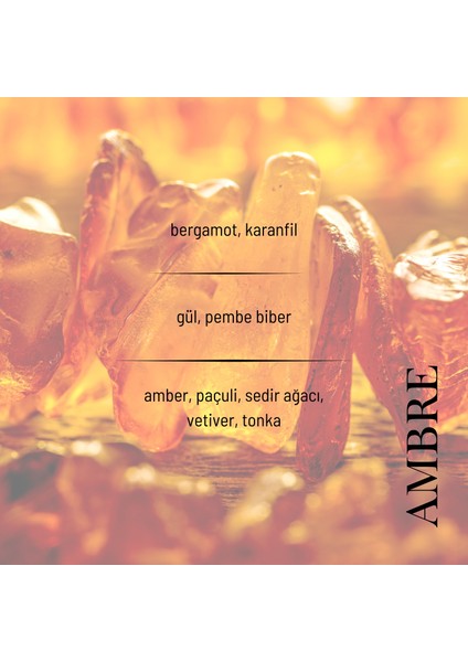 Ambre EDP Kadın Seyahat Boy Parfüm 10ml | Amber-Paçuli-Gül | Bergamot, Sedir, Karanfil, Vetiver indirimleri