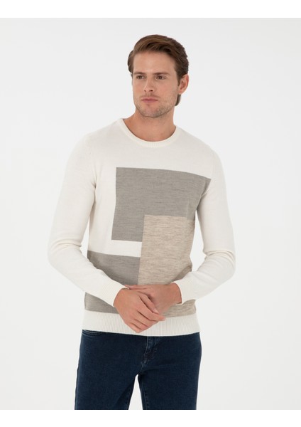 Erkek Ekru Slim Fit Bisiklet Yaka Triko Kazak 50300541-VR019