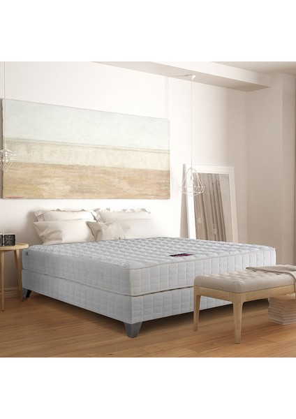 Serta Perfect Sleeper Twin Lateks ve Visco Yatak