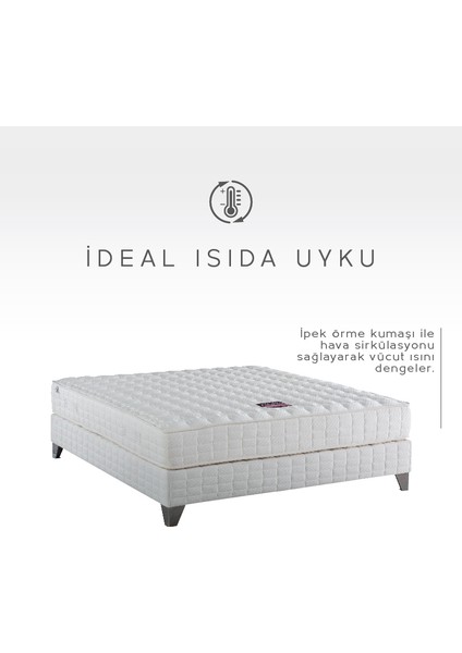 Serta Perfect Sleeper Twin Lateks ve Visco Yatak