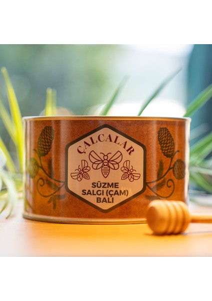 Bal Süzme Bal Çam Balı Salgı Balı 1800 gr fiyatları