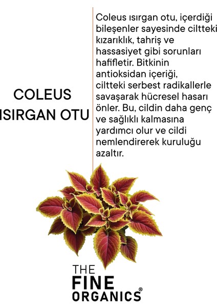 The Fine Organics Isırgan Otu Özlü Nemlendirici Bakım Sütü 50 ml