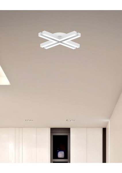 Timon (Beyaz Kasa, Beyaz Işık) Ledli Modern Plafonyer LED Avize Salon Mutfak Oturma Odası Antre Hol Çocuk Odası LED fiyatları
