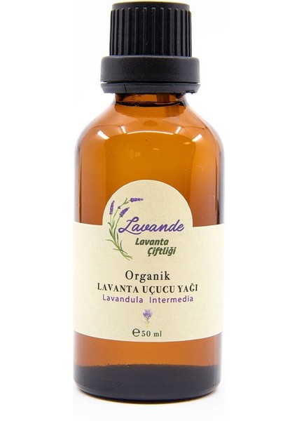 Lavande Lavanta Yağı (L. Intermedia) 50ML-İÇTEN Damlalıklı