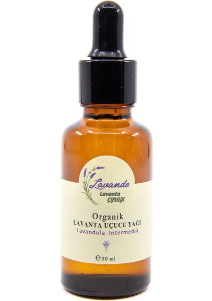 Lavande Lavanta Yağı (L. Intermedia) 30ML-CAM Damlalıklı