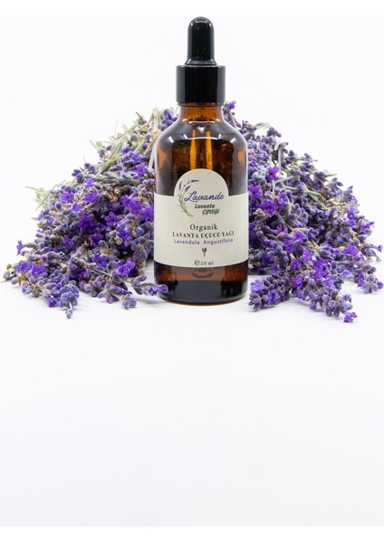 Lavande Organik Lavanta Yağı (L. Angustifolia) 50ML-CAM Damlalıklı