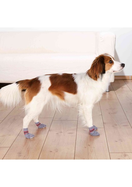 Köpek Çorabı Kaydırmaz 2 Adet XL 2 Adet Gri